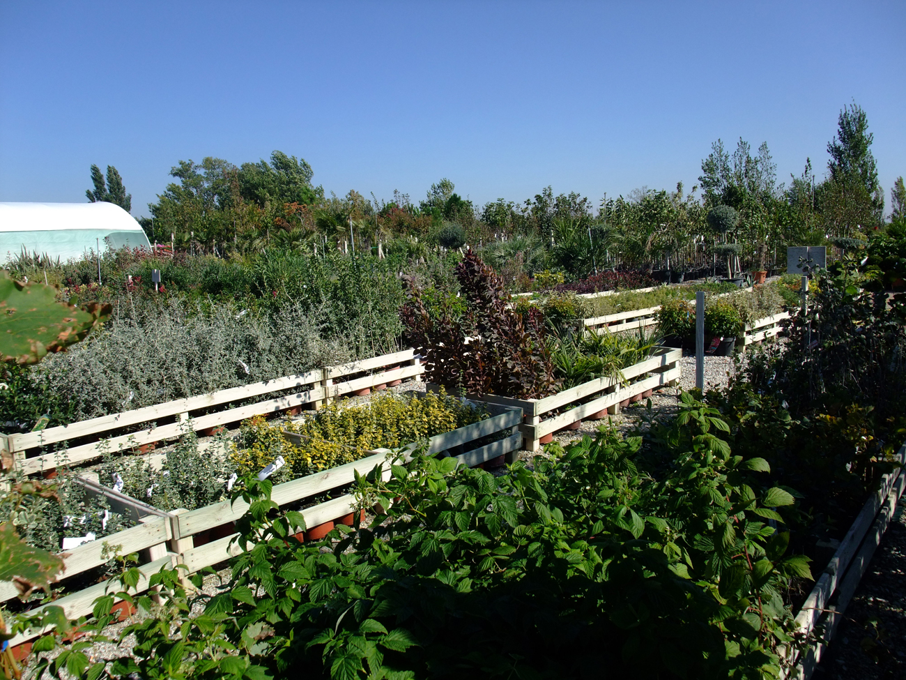 Jardin de Jade | Annuaire Artisan.fr